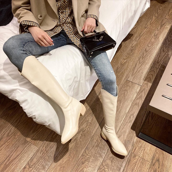 Дамски стилни ботуши заострен модел 