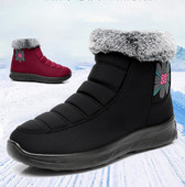 Sooja voodriga naiste aprikoosid