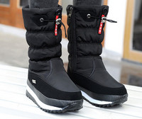 Naiste taliaprikoosid lipsuga