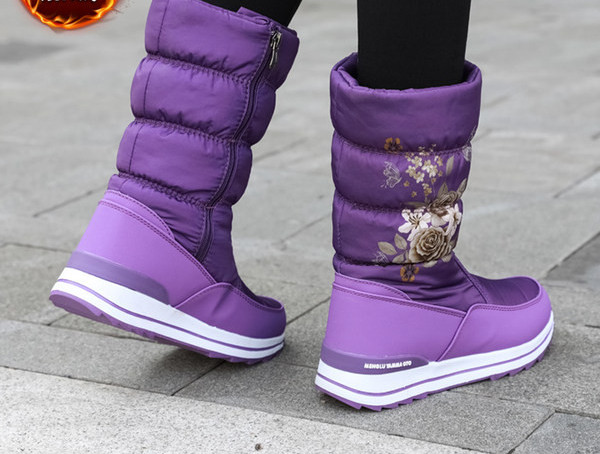 Naiste lillemustriga talvised aprikoosid