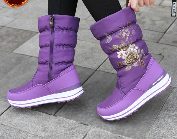 Naiste lillemustriga talvised aprikoosid