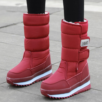 Naiste aprikoosid kirja ja kleebisega