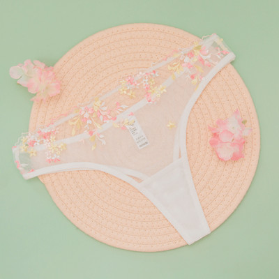 Κομψές γυναικείες Βραζιλιάνες με δαντέλα σε διαφορετικά μοντέλα