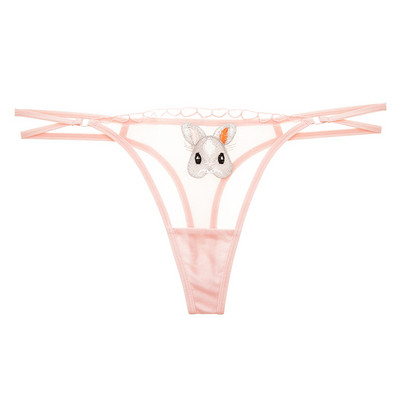 Κομψές γυναικείες Βραζιλιάνες με δαντέλα σε διαφορετικά μοντέλα