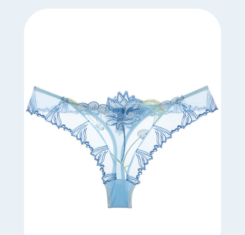 Κομψές γυναικείες Βραζιλιάνες με δαντέλα σε διαφορετικά μοντέλα