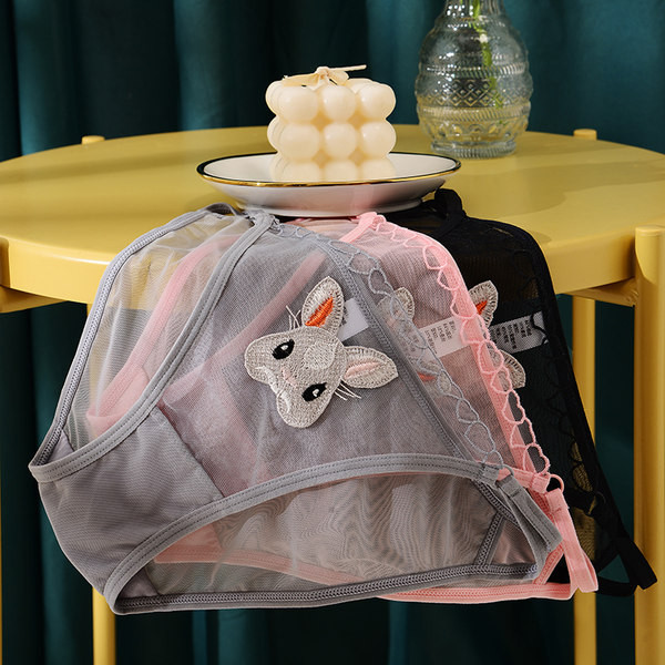 Naiste moodsad tikandiga võrkbikiinid