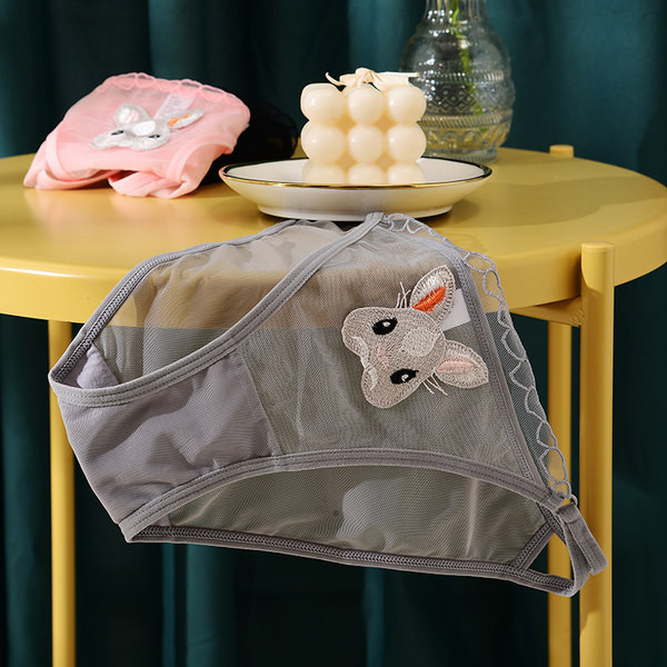 Naiste moodsad tikandiga võrkbikiinid