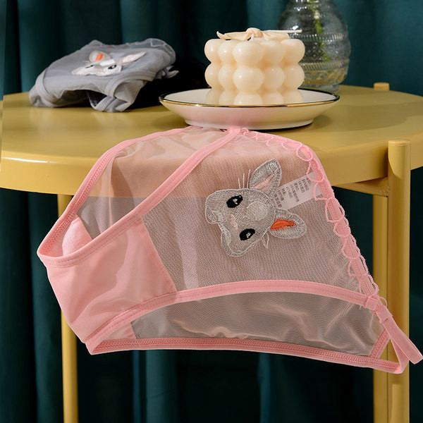 Naiste moodsad tikandiga võrkbikiinid