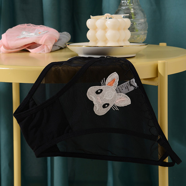 Naiste moodsad tikandiga võrkbikiinid