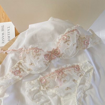 Elegantne naiste intiimne pitsist rinnahoidja ja bikiinide komplekt