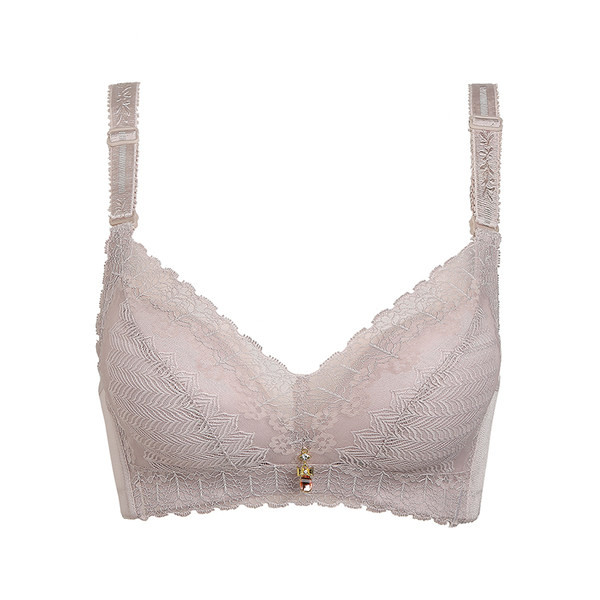 Pitsi ja metallist kaunistusega naiste rinnahoidja