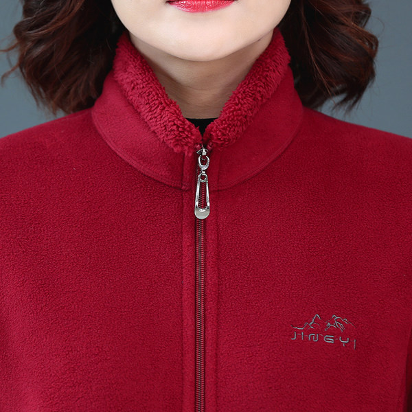 Igapäevane kõrge kraega naiste dressipluus