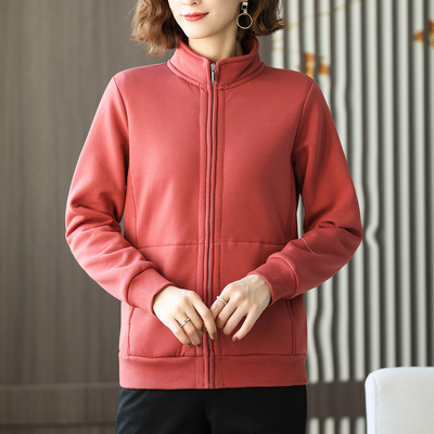 Sirge mudeliga naiste dressipluus sooja voodri ja lukuga