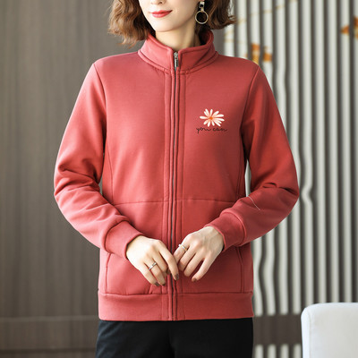 Sirge mudeliga naiste dressipluus sooja voodri ja lukuga