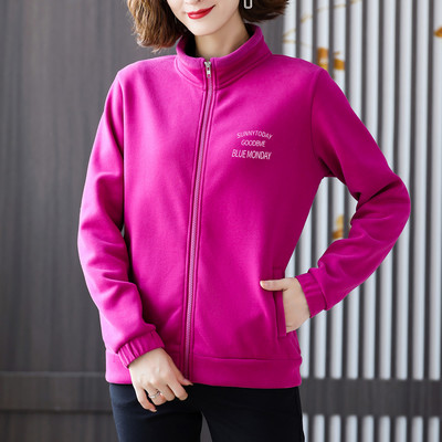 Sirge mudeli sügis-talvine voodriga dressipluus