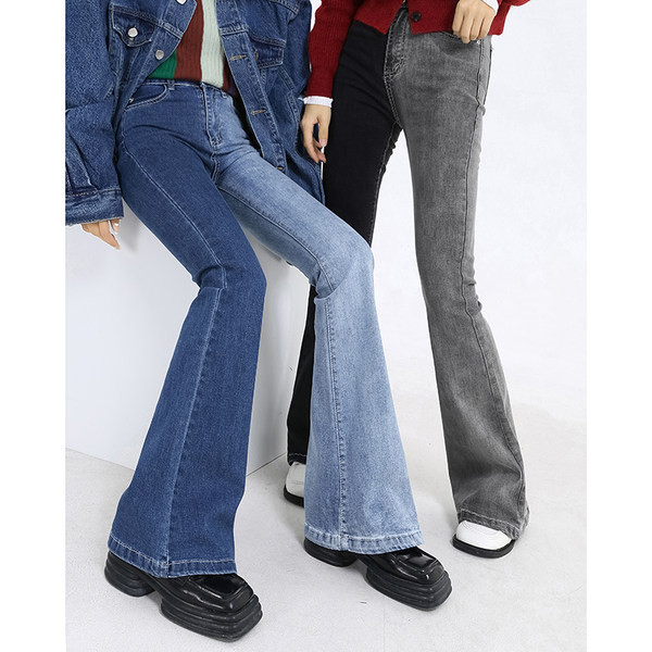 Stiilsed naiste Charlestoni teksad kahe mudeliga