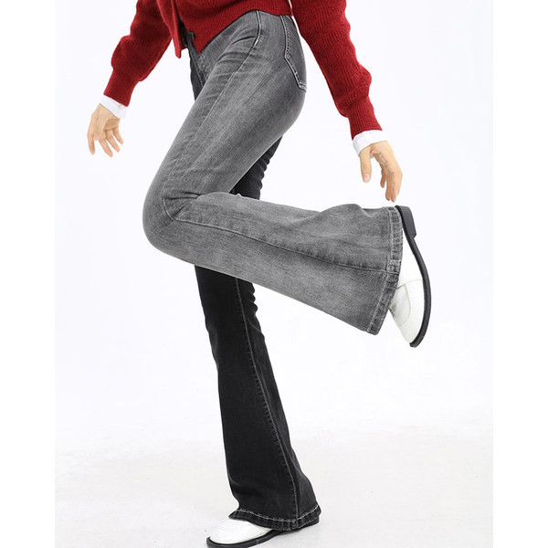 Stiilsed naiste Charlestoni teksad kahe mudeliga