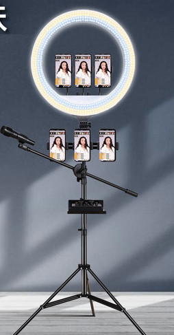 Jäärõngaga telefonialus