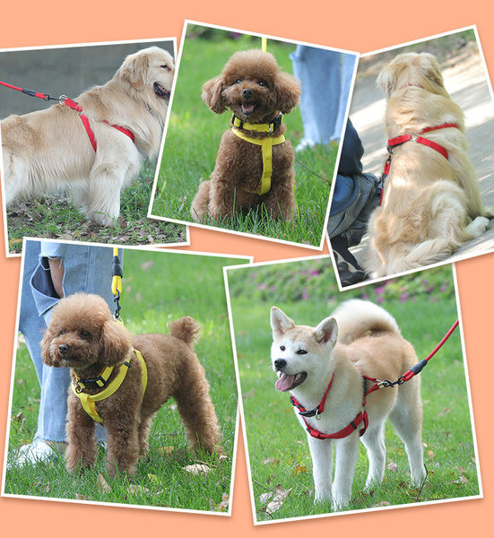 Нагръдник за кучета с каишка