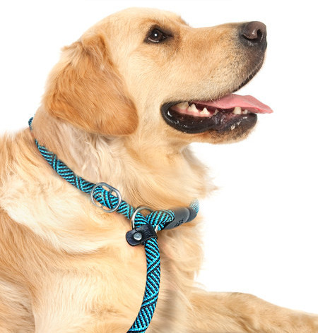 Текстилен нашийник и повод за кучета 2 в 1