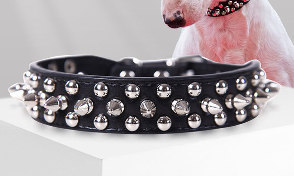 Кожен нашийник и повод с капси