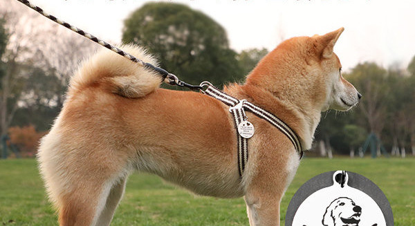 Нагръдник за кучета от текстил в няколко цвята