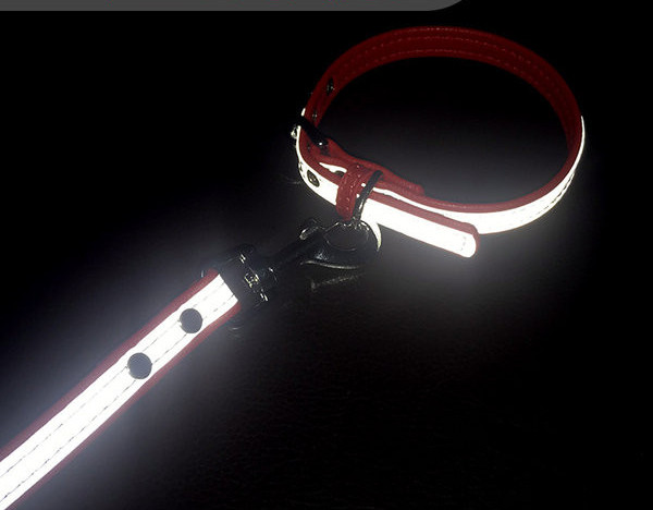 Нашийник или повод от еко кожа с метално закопчаване за кучета