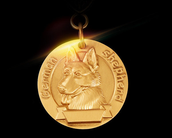 Нашийник от изкуствена кожа с висулка