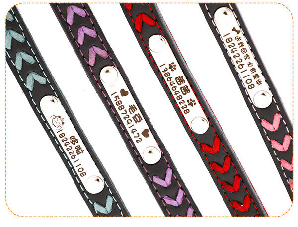 Кучешка каишка в различни цветове