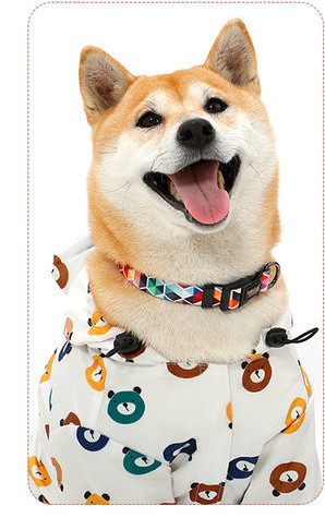 Текстилен нашийник за куче с цветен десен