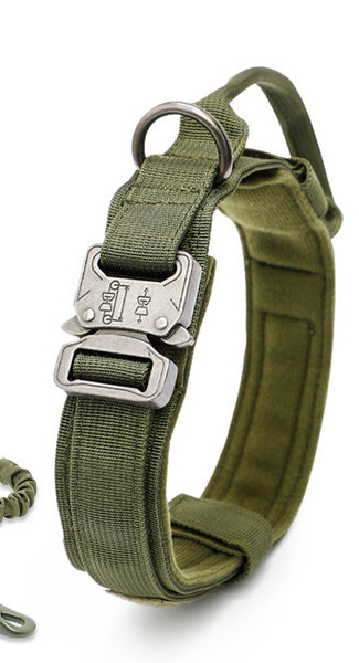 Нашийник с повод или нашийник за домашни любимци