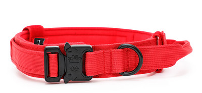 Нашийник с повод или нашийник за домашни любимци