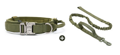 Нашийник с повод или нашийник за домашни любимци