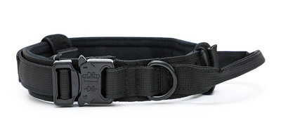 Нашийник с повод или нашийник за домашни любимци