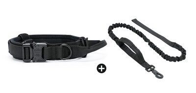 Нашийник с повод или нашийник за домашни любимци