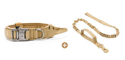 Нашийник с повод или нашийник за домашни любимци