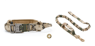 Нашийник с повод или нашийник за домашни любимци