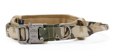 Нашийник с повод или нашийник за домашни любимци