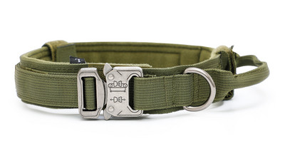 Нашийник с повод или нашийник за домашни любимци