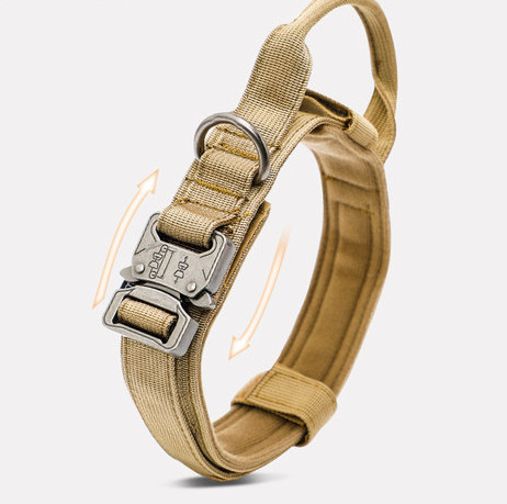 Нашийник с повод или нашийник за домашни любимци