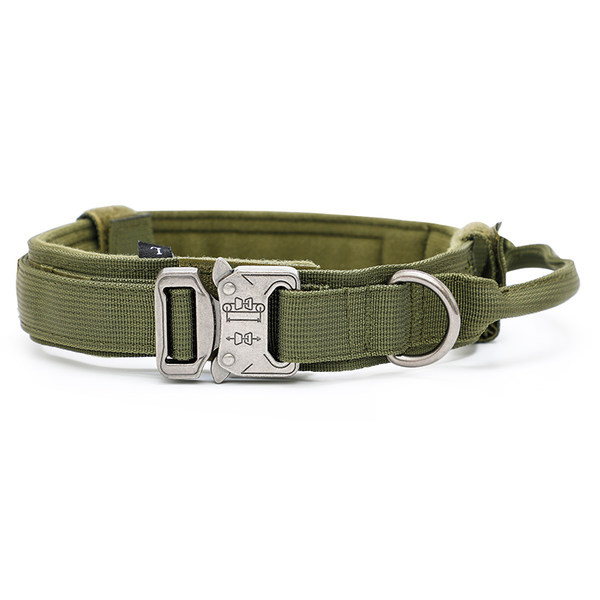 Нашийник с повод или нашийник за домашни любимци