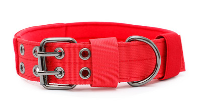 Кучешки нашийник с каишка или без