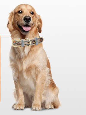 Нашийник за домашни любимци в три цвята