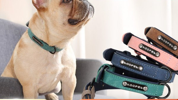 Регулируем нашийник за куче