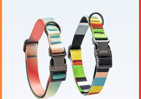 Кучешки нашийник с пластмасово закопчаване 