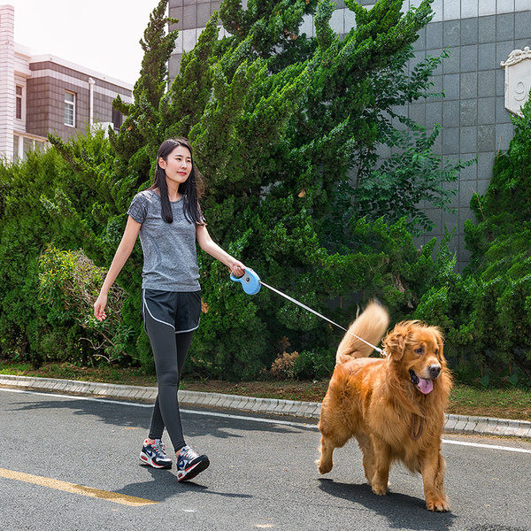 Регулируем повод за домашни любимци