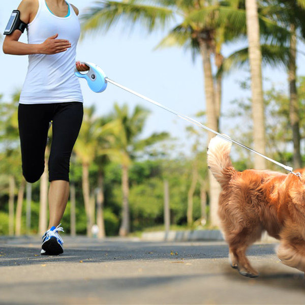 Регулируем повод за домашни любимци