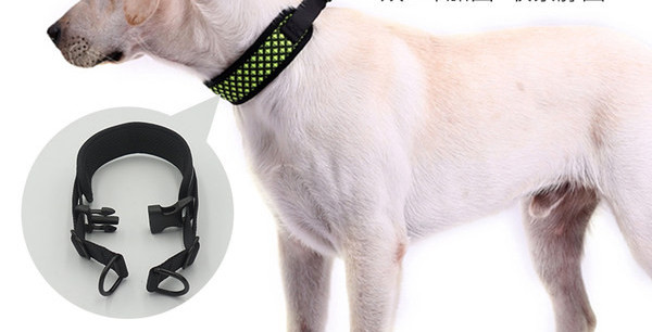 Нашийник за кучета в четири цвята 