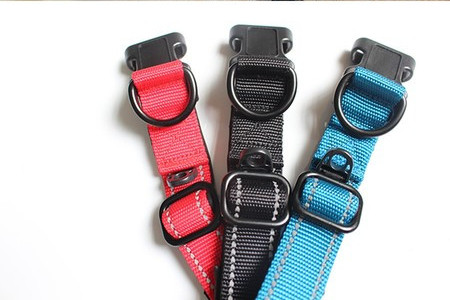 Каишка за домашни любимци в три цвята