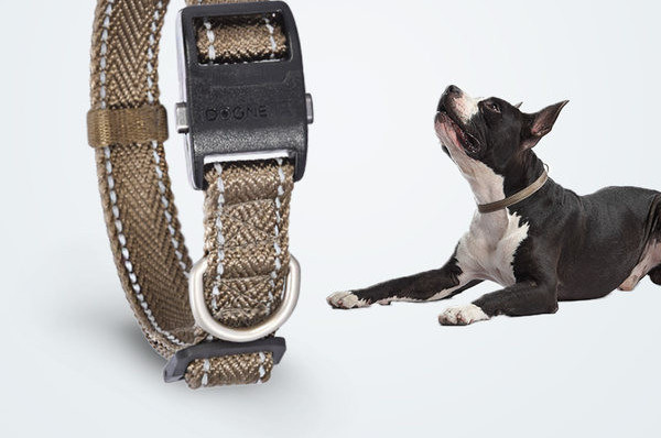 Текстилен нашийник с пластмасово закопчаване или повод за кучета